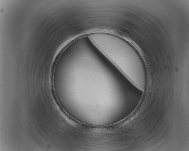 X0000083550894200702090747