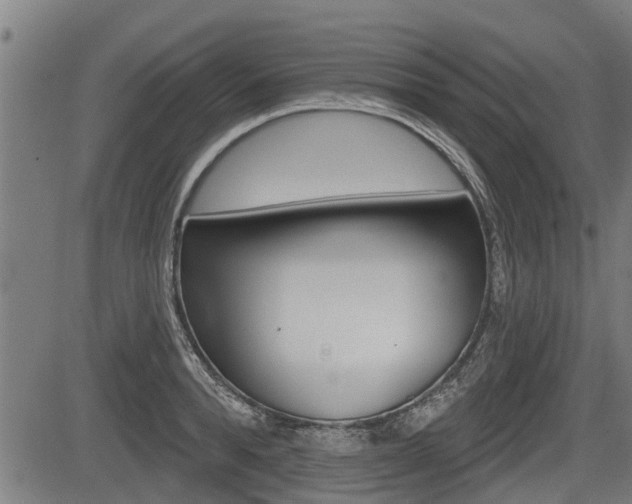 X0000083550896200702090747