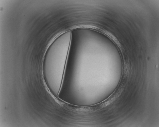 X0000083550898200702090747