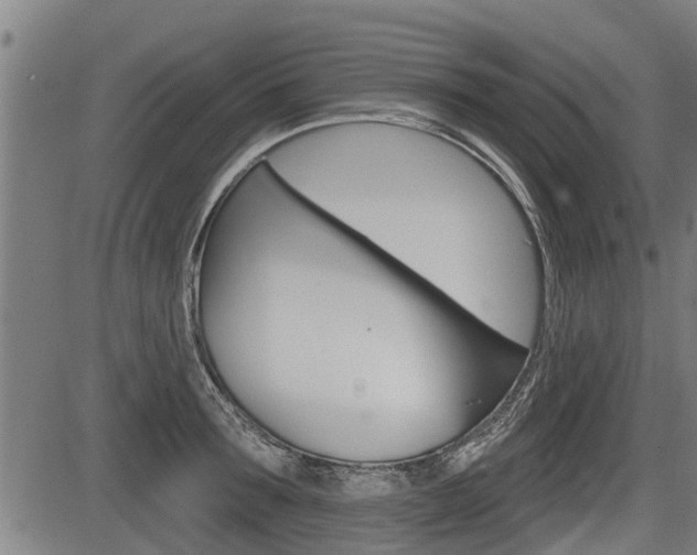 X0000083550899200702090747