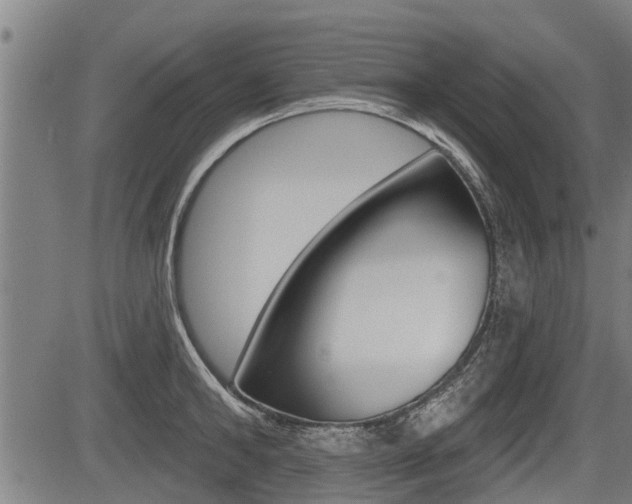 X0000083550902200702090747