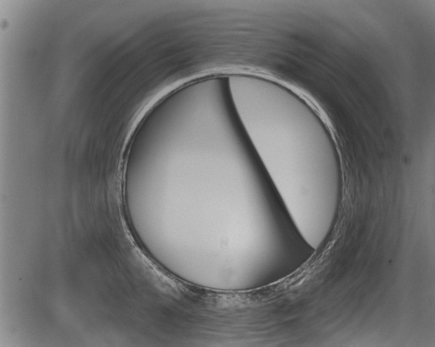 X0000083550903200702090747