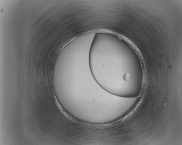 X0000083550905200702090747