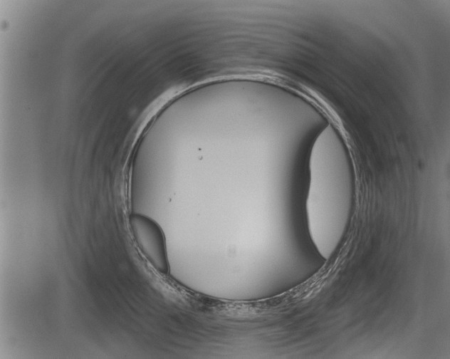 X0000083550907200702090746