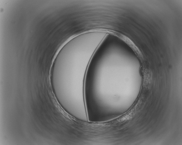 X0000083550908200702090746