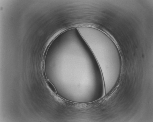 X0000083550909200702090746