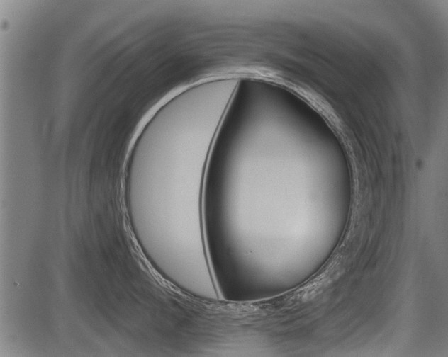 X0000083550912200702090746