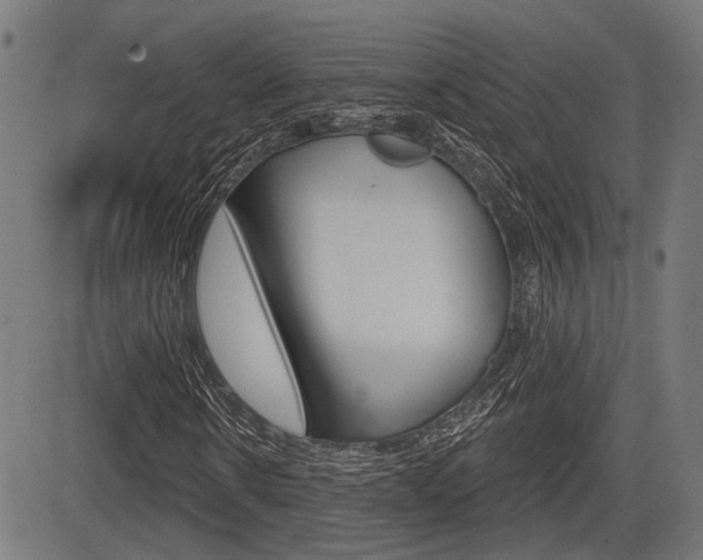 X0000083550914200702090746