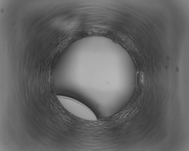 X0000083550915200702090746