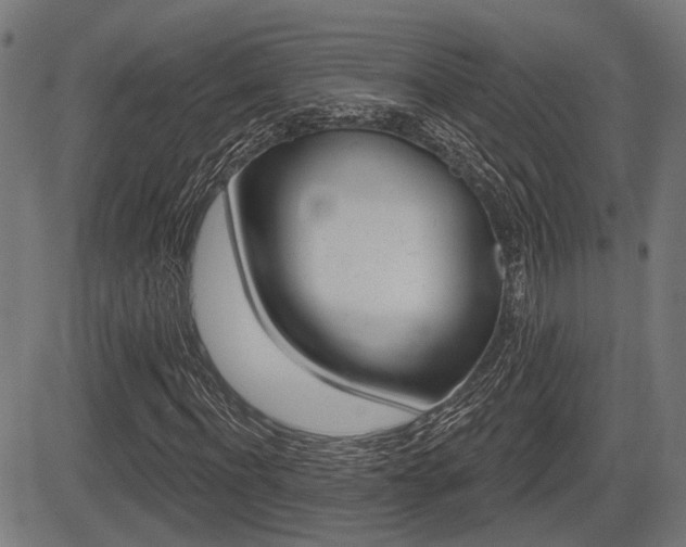 X0000083550916200702090746