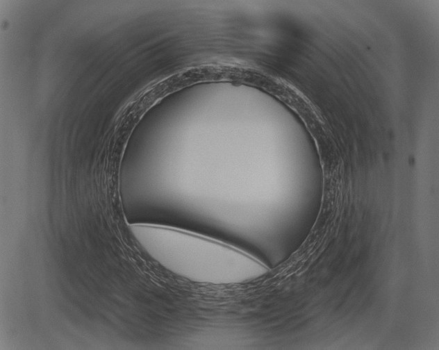 X0000083550919200702090746