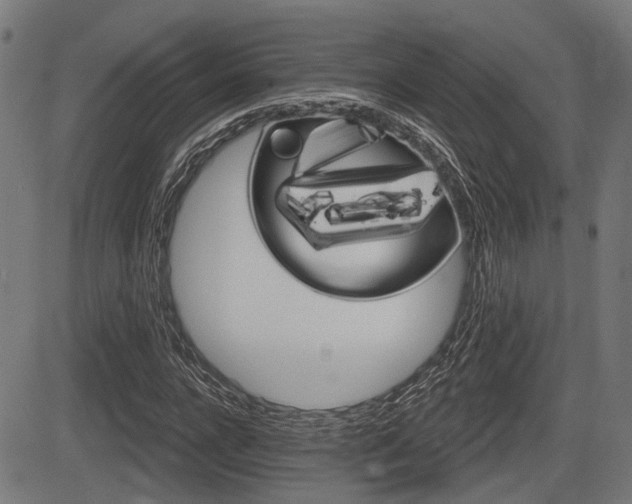 X0000083550920200702090746