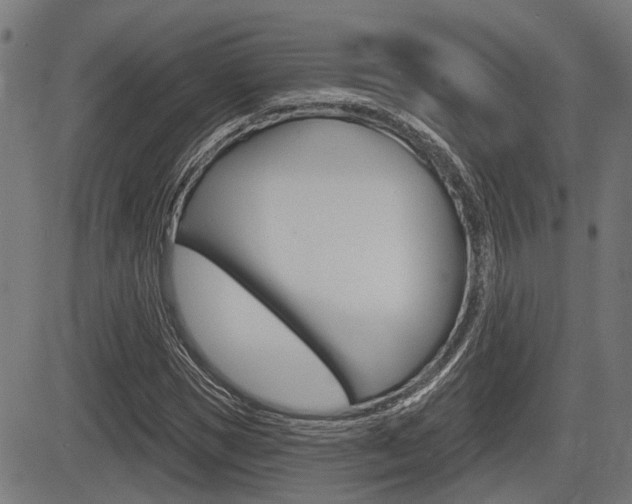 X0000083550921200702090746