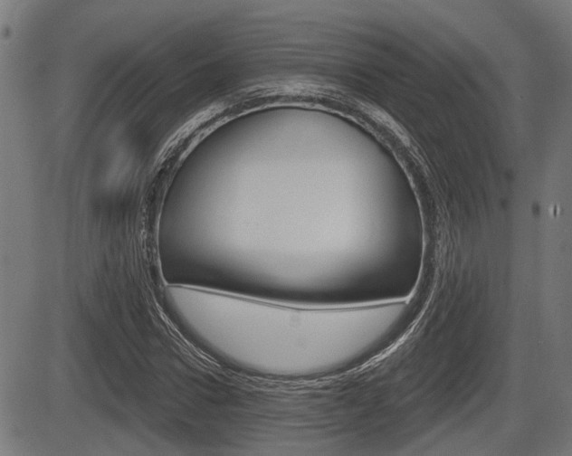 X0000083550922200702090746