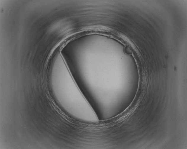 X0000083550923200702090746