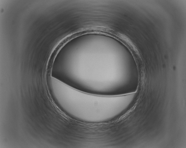 X0000083550924200702090746