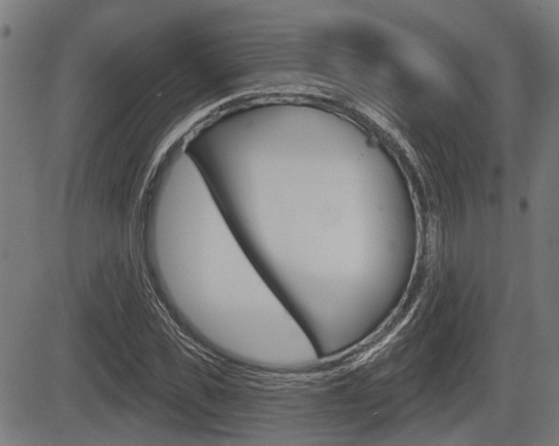 X0000083550925200702090746