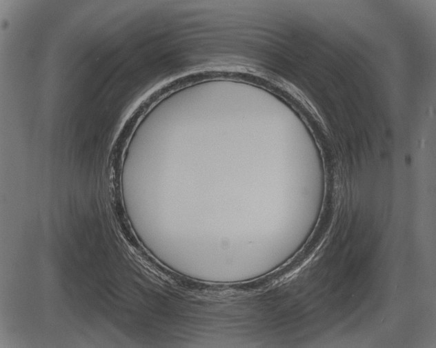 X0000083550926200702090746