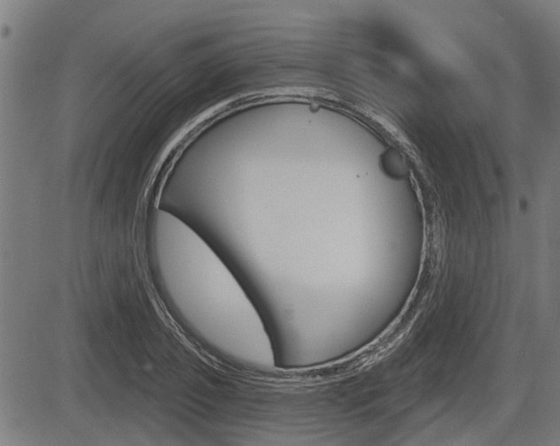 X0000083550933200702090746