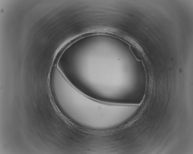 X0000083550936200702090746