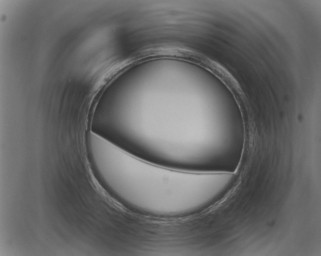 X0000083550938200702090746