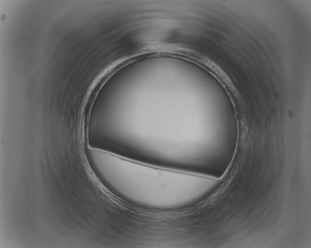 X0000083550939200702090746