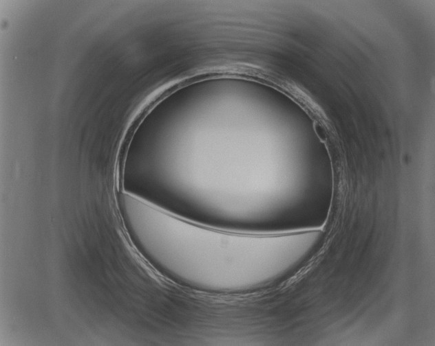 X0000083550940200702090746