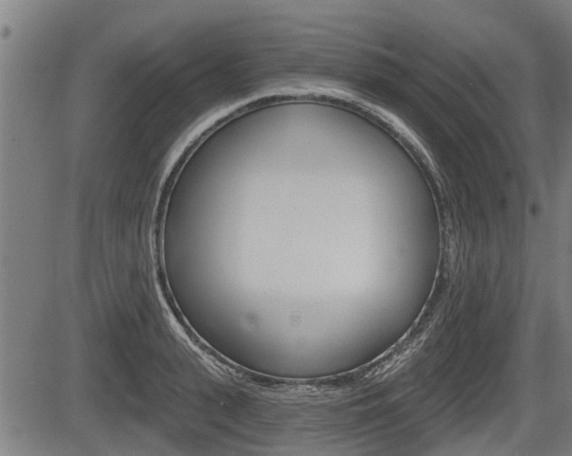 X0000083550943200702090746