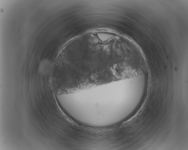 X0000083550945200702090746