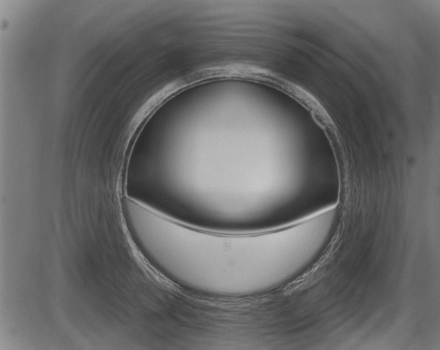 X0000083550946200702090746