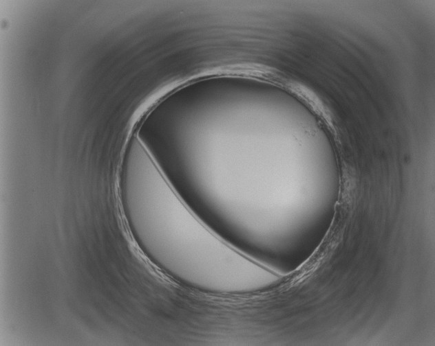 X0000083550952200702090746