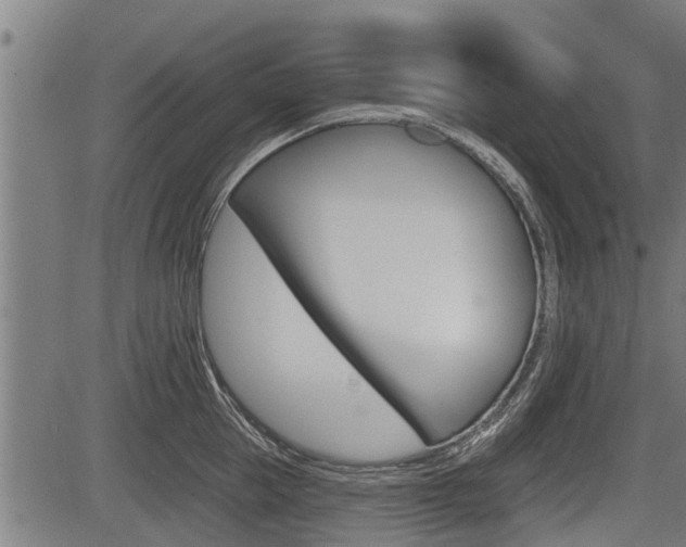 X0000083550953200702090746