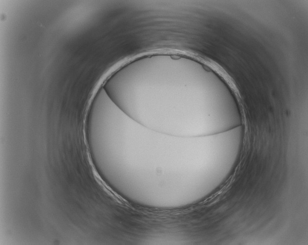 X0000083550958200702090746