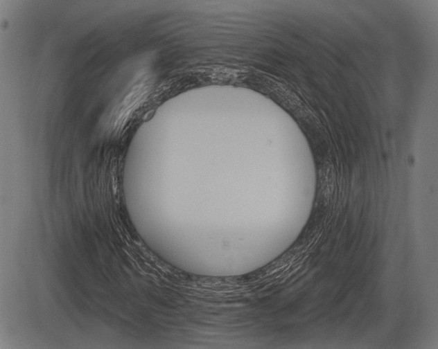X0000083550962200702090746
