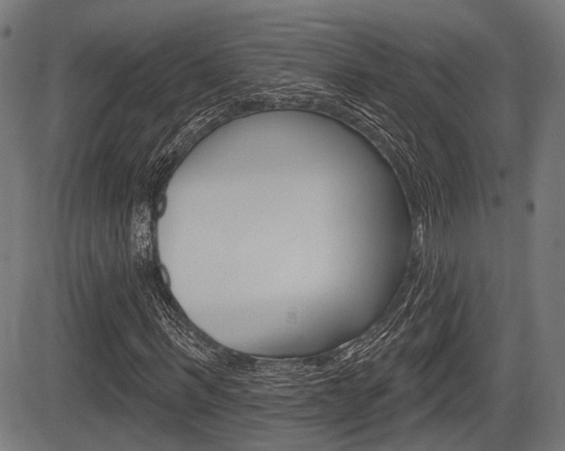 X0000083550963200702090746