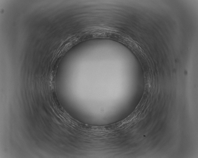 X0000083550964200702090746