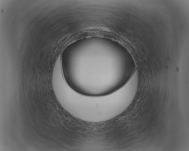 X0000083550965200702090746