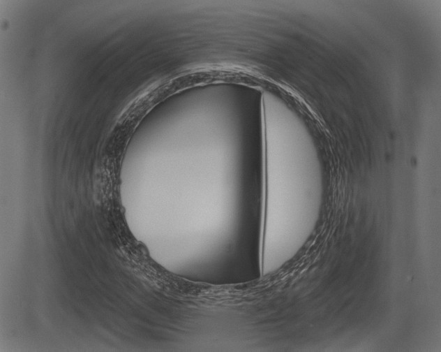 X0000083550967200702090746