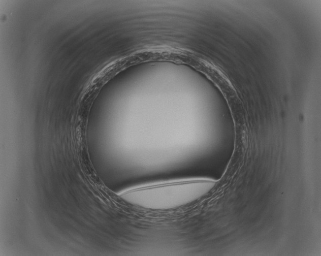 X0000083550968200702090745