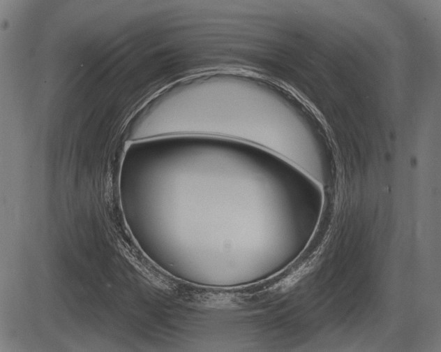 X0000083550969200702090745