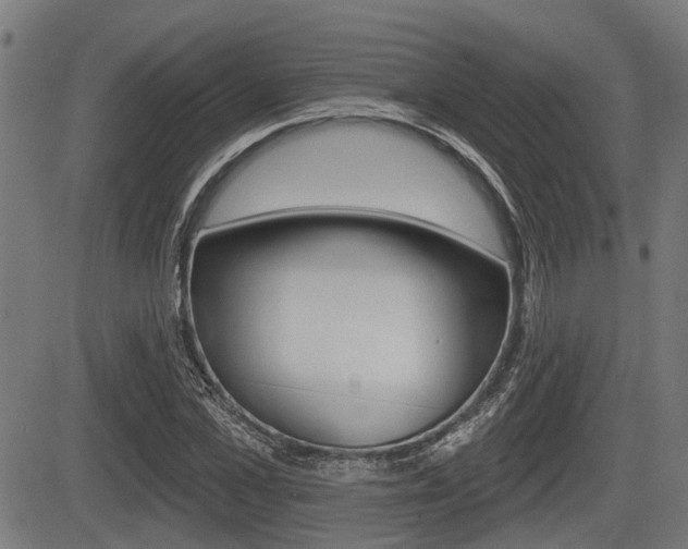 X0000083550973200702090745