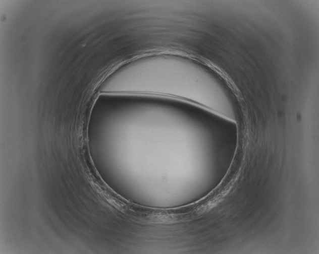 X0000083550977200702090745
