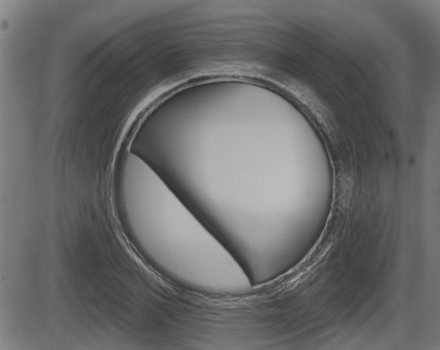X0000083550982200702090745