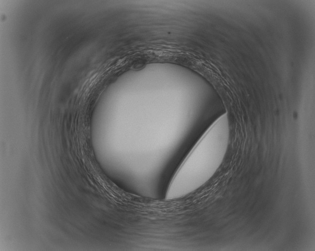 X0000083551009200702090744