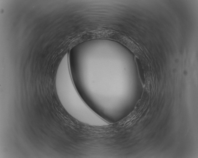X0000083551010200702090744