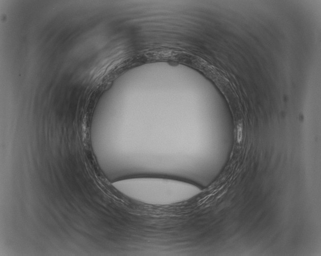X0000083551011200702090744