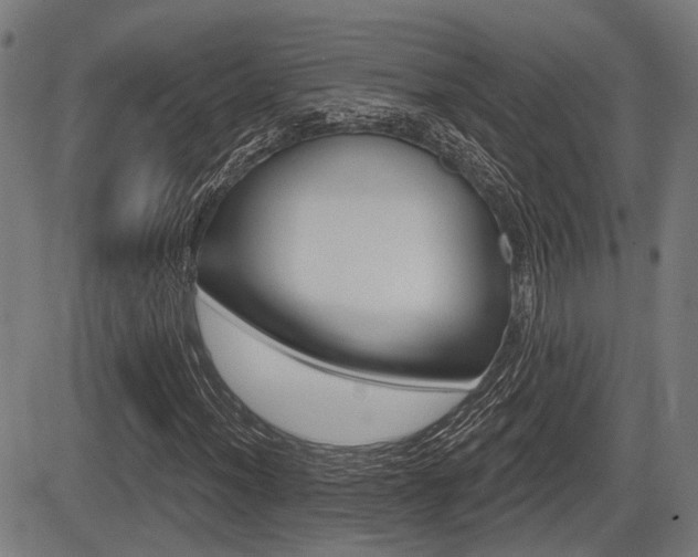 X0000083551012200702090744