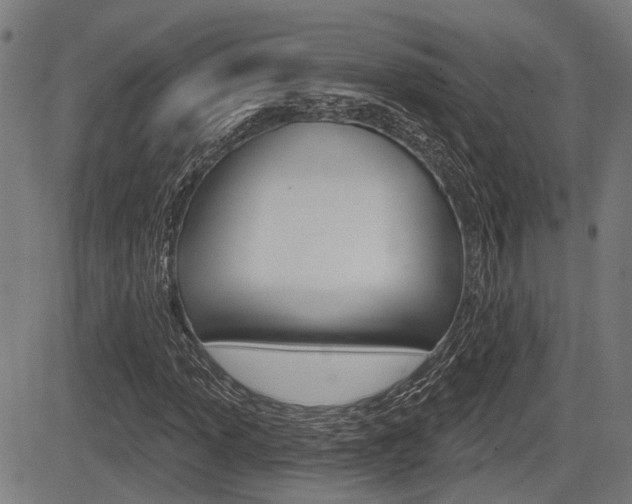 X0000083551013200702090744
