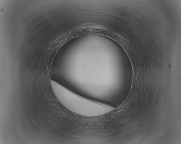 X0000083551014200702090744