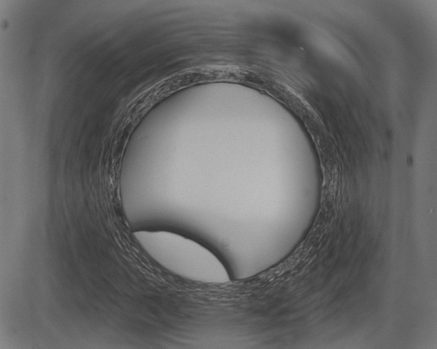 X0000083551015200702090744